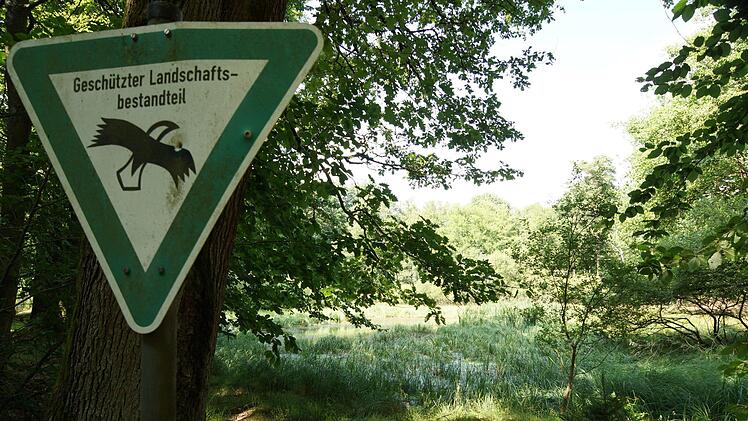 Der Buchsee liegt in einem ökologisch wertvollen Teil des Oberthulbaer Waldes.Foto: Arkadius Guzy