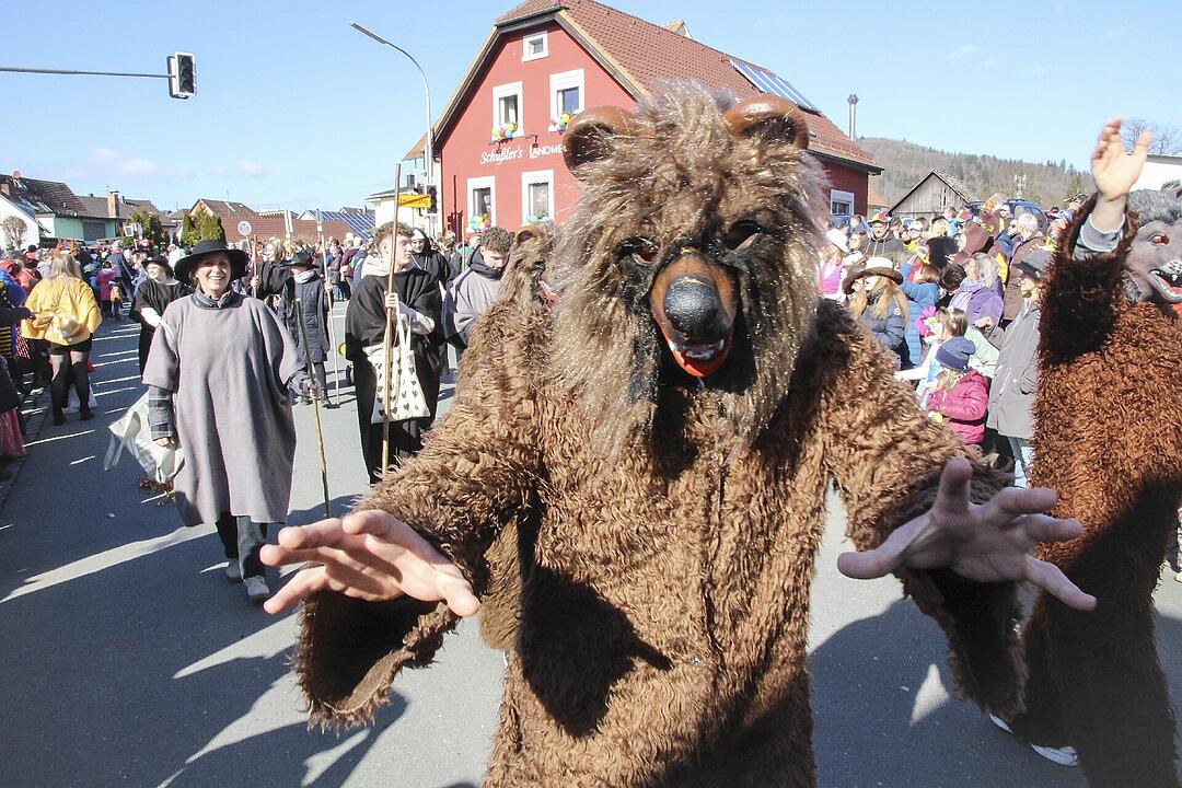 Fasching 2025 in Stadtsteinach!