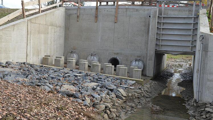 Foto: Ronald Rinklef