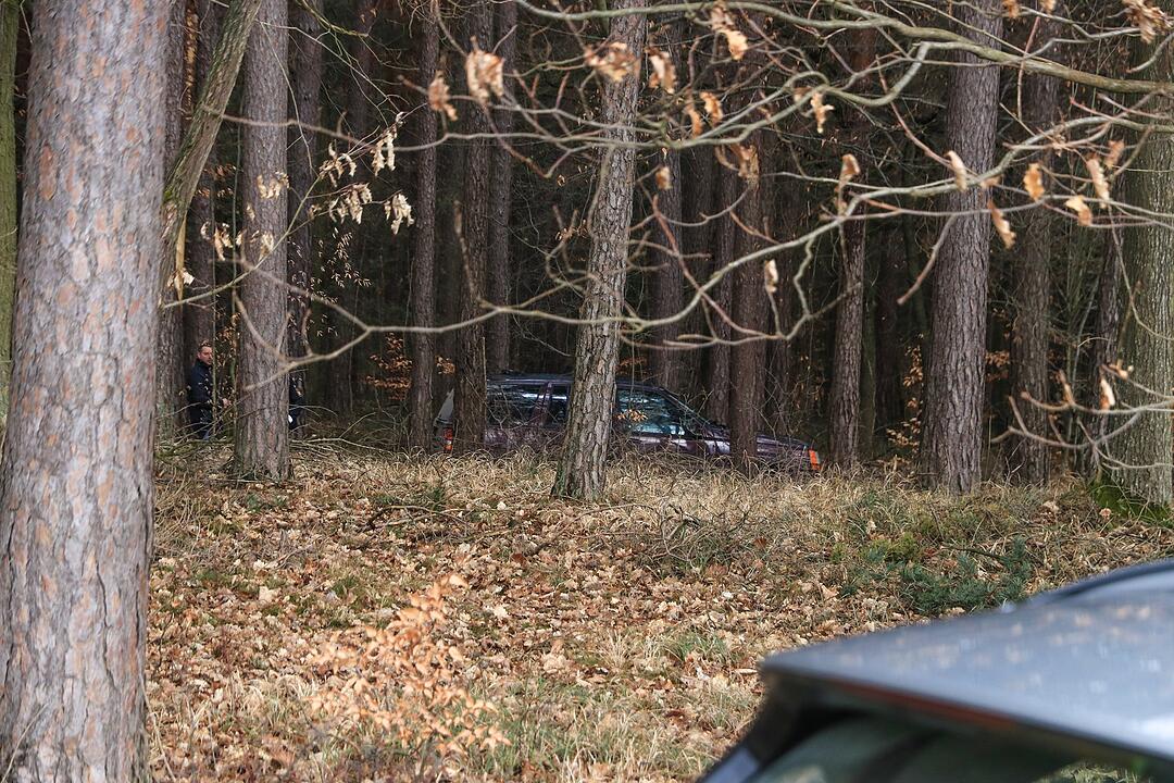 Verfolgungsjagd durch Oberfranken: Mann flieht vor Polizei in den Wald
