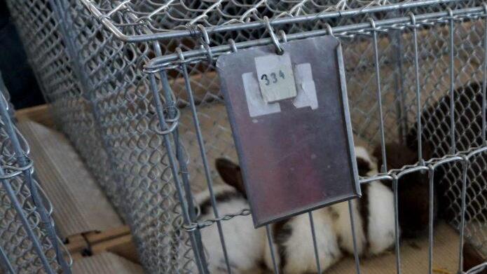 Foto: Richard Sänger