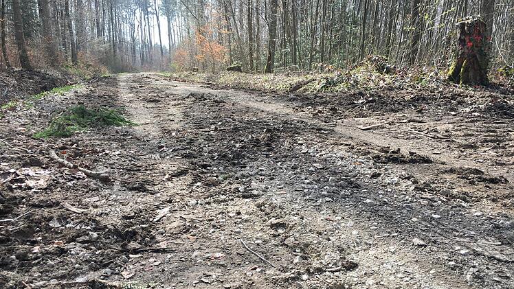 Nicht mehr für reguläre Fahrzeuge geeignet - die GVS im Wald zwischen Scheßlitz und Peulendorf. Foto: Anette Schreiber