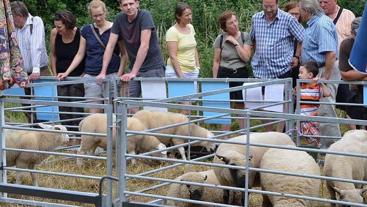 Gut besucht: das zwölfte oberfränkische Schaffest. Foto: Gabi Bertram