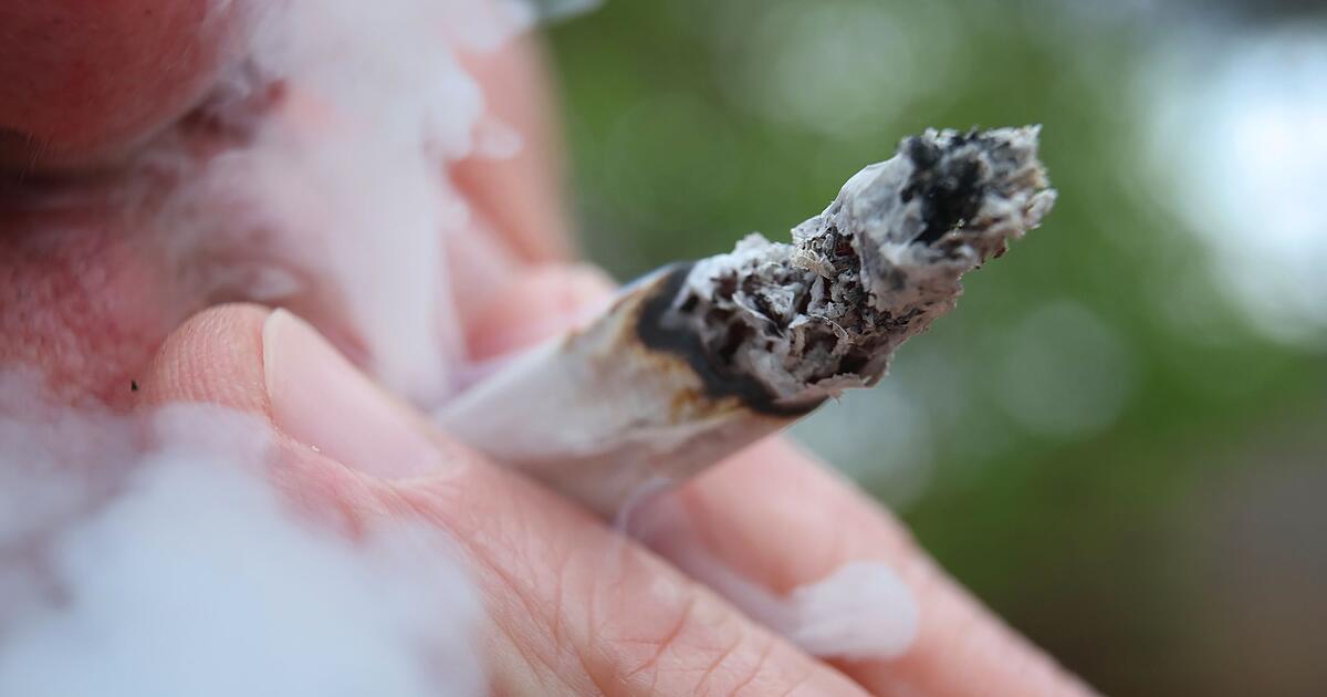 Studie-zu-Cannabis-Steigender-Konsumtrend