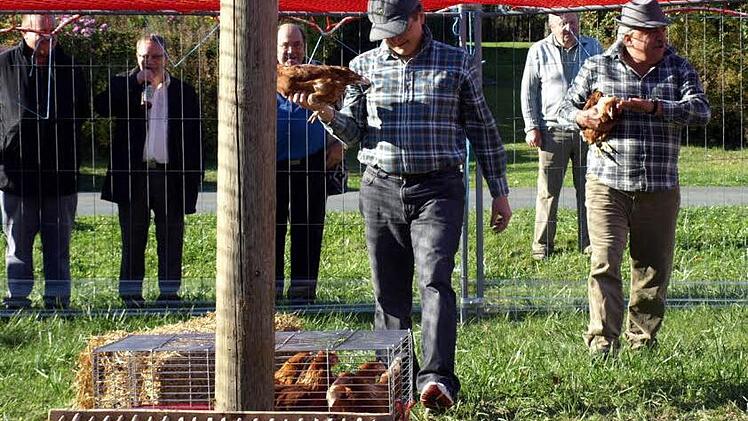Langsam füllen sich die Körbe - wenigstens der von Pater Jan. Bürgermeister Peter Hänel hat in diesem Moment aber auch endlich einmal Glück mit dem Federvieh.