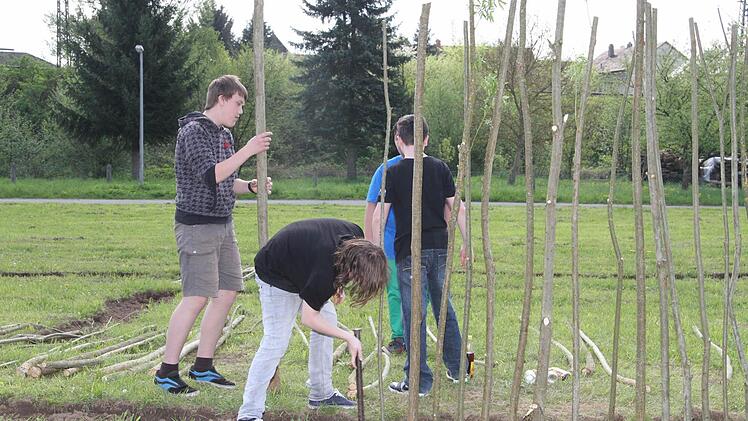 Stück für Stück wurden die Setzlinge eingepflanzt.
