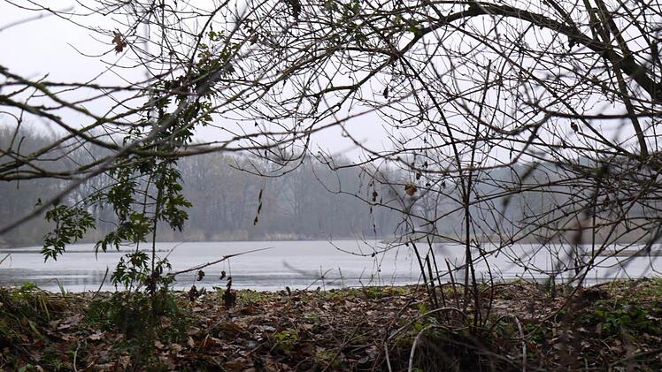 Blick von der Igelsdorfer Seite auf den Neuweiher. Von dort nimmt die geplante Hochwasser-Ableitung ihren Ausgang.Foto: Lindner