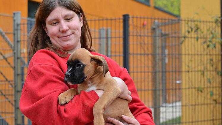 Im März 2014 wurde eine illegaler Welpentransporter bei Nürnberg gestoppt. Die noch sehr jungen Tiere wurden ins Tierheim Nürnberg gebracht. Foto: Nikolas Pelke
