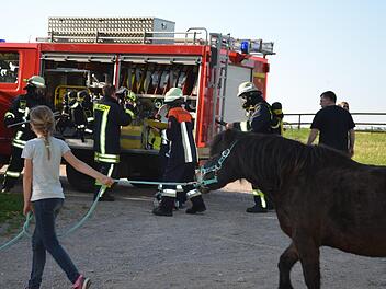 Wie in echt: Sogar ein Pony musste beim angenommenen Brand einer Scheune auf der Gauaschacher Hot Horse Ranch in Sicherheit gebracht werden. Foto: Jana Keul