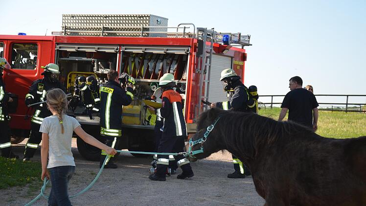 Wie in echt: Sogar ein Pony musste beim angenommenen Brand einer Scheune auf der Gauaschacher Hot Horse Ranch in Sicherheit gebracht werden. Foto: Jana Keul