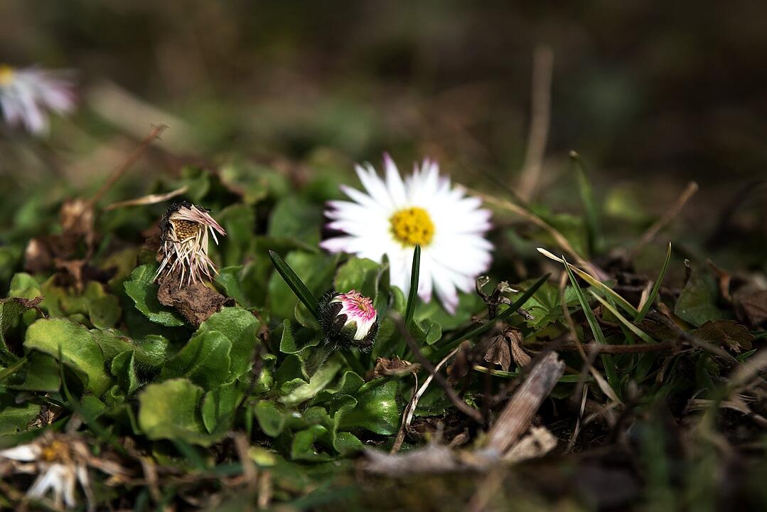 Die schönsten Frühlingsfotos aus den Haßbergen