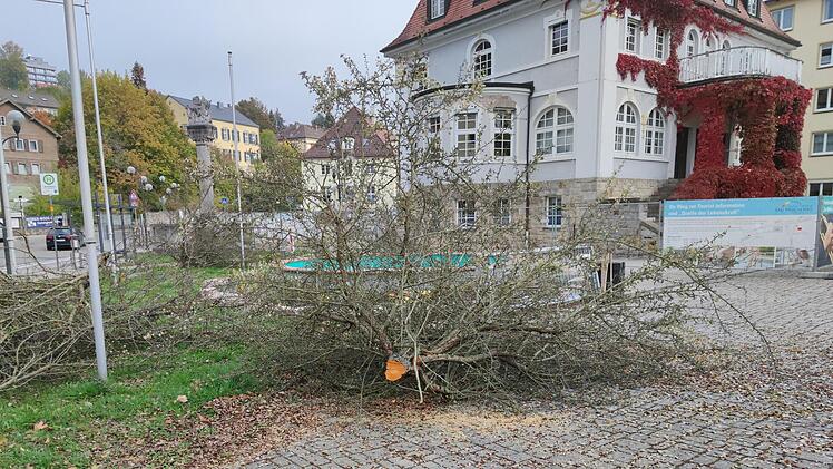 Vergangene Woche fällte der städtische Bauhof alle Bäume rund um das Alte Rathaus. Foto: Julia Raab