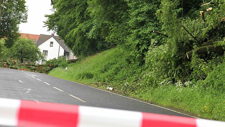 Die Ortszufahrt nach Dippach ist gesperrt, weil ein Baum vom Hang herab auf die Straße gerutscht ist.