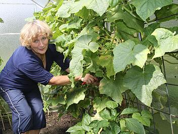 Elisabeth Sangeorzan (55) pflanzt in ihrem Kleingarten an der Berliner Brücke vor allem Gemüse an. Fotos: Julia Schilling