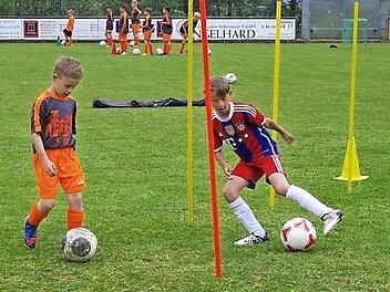 Bereits in diesem Jahr fand ein professionelles Junioren-Trainingscamp auf dem Gelände des TSV Steinberg statt. Die Nachwuchskicker dürfen sich schon jetzt auf Pfingsten 2016 freuen, wenn eine Abordnung der Fußballschule von Real Madrid nach Steinberg kommt. Foto: Heike Schülein