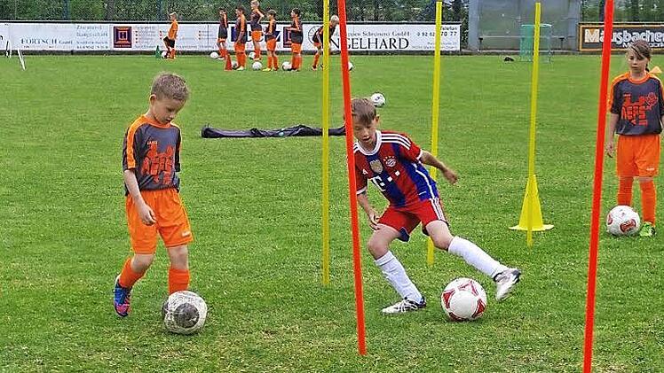 Bereits in diesem Jahr fand ein professionelles Junioren-Trainingscamp auf dem Gelände des TSV Steinberg statt. Die Nachwuchskicker dürfen sich schon jetzt auf Pfingsten 2016 freuen, wenn eine Abordnung der Fußballschule von Real Madrid nach Steinberg kommt. Foto: Heike Schülein