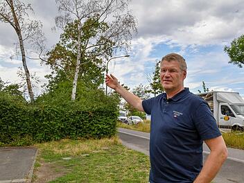 Die Birken an der Memmelsdorfer Straße in Bamberg sind laut Gartenamtsleiter Robert Neuberth innerhalb kürzester Zeit  abgestorben.  Foto: Ronald Rinklef
