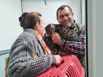 Tierheim Nürnberg: Kater "Gustaves" lange Reise - mehr als vier Monate unterwegs Tierheim Nürnberg: Kater "Gustaves" lange Reise - mehr als vier Monate unterwegs