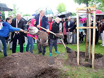 Mithilfe einiger Kinder bedeckten Jean-Guy Alix (l.) und German Hacker den Wurzelballen der Esskastanie mit Erde. Foto: Richard Sänger