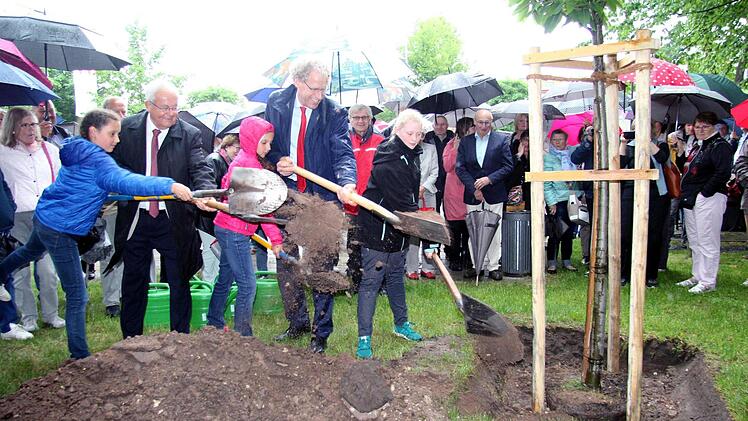 Mithilfe einiger Kinder bedeckten Jean-Guy Alix (l.) und German Hacker den Wurzelballen der Esskastanie mit Erde. Foto: Richard Sänger