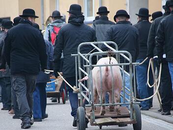 Die Cocks-Innung zog auch dieses Jahr wieder mit einem Schwein  durchs Dorf, um es danach zu Kesselfleisch zu verarbeiten.Heike Beudert