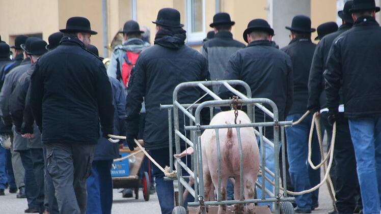 Die Cocks-Innung zog auch dieses Jahr wieder mit einem Schwein  durchs Dorf, um es danach zu Kesselfleisch zu verarbeiten.Heike Beudert