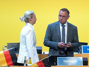 Bundesparteitag der AfD