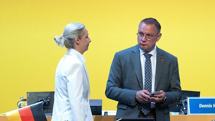 Bundesparteitag der AfD