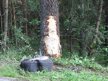 Auto kommt von Straße ab und kracht gegen Baum