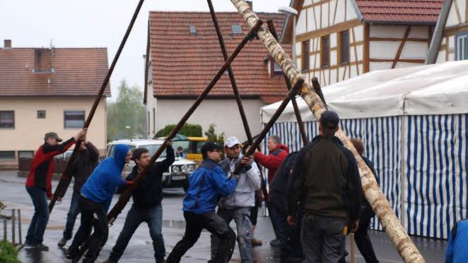 Muskelkraft ist alles - beim Maibaum-Aufstellen in Arnshausen.