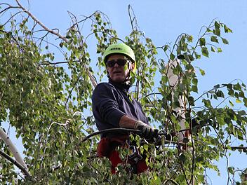Arbeitsplatz mit besonderer Aussicht: Uwe Nawrath steht in einem Baum über den Dächern von Coburg. Als Baumpfleger mit Kletterausbildung kommt er dort hin wo Maschinen zum Beschnitt nicht eingesetzt werden können. Fotos: Thomas Heuchling