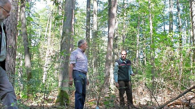 Revierleiter Benjamin G&ouml;bel (rechts) steht mit Waldbesitzer Gottfried Geiling vor vertrockneten Jungb&auml;umen. Fotos: Hans Kurz