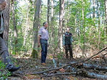 Revierleiter Benjamin Göbel (rechts) steht mit Waldbesitzer Gottfried Geiling vor vertrockneten Jungbäumen. Fotos: Hans Kurz