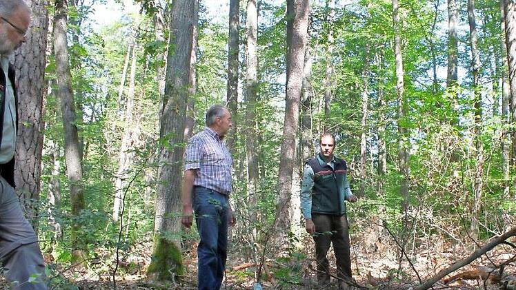Revierleiter Benjamin Göbel (rechts) steht mit Waldbesitzer Gottfried Geiling vor vertrockneten Jungbäumen. Fotos: Hans Kurz