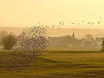 Foto: Jürgen Hüfner