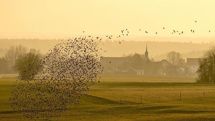 Foto: Jürgen Hüfner