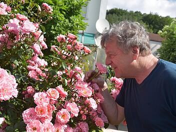 Martin Heymann ist begeistert von der Blütenpracht und dem Duft der Rosen im Garten der Bernreuthers. Foto: Gabi Arnold