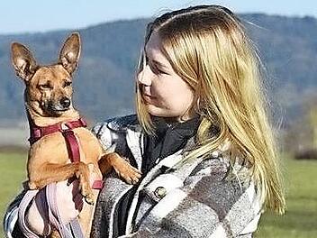 Pinchi hat Charme und ist sehr anhänglich, braucht aber Führung.