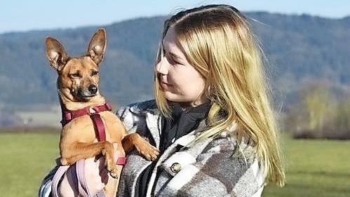 Pinchi hat Charme und ist sehr anhänglich, braucht aber Führung.