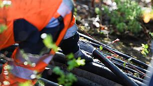 Kabel durchtrennt: Zugverkehr um Gelsenkirchen eingeschr&auml;nkt