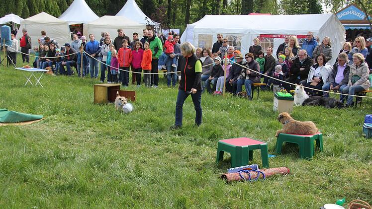 "Gustl" holt sein eigenes Töpfchen aus dem Hundeklo.Foto: Ralf Kestel