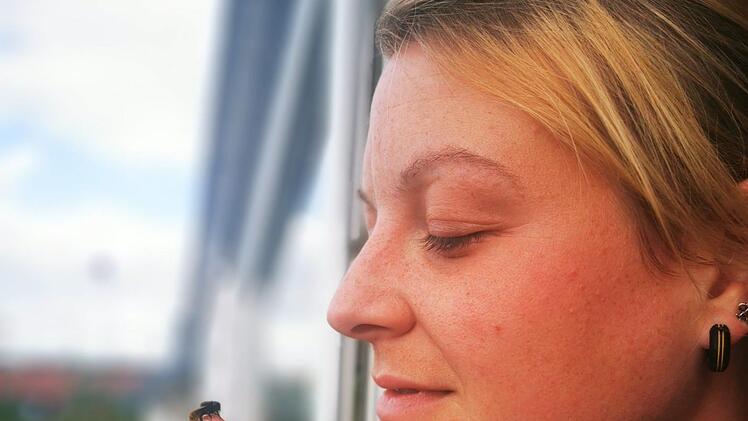 Schöner Schnappschuss: Eine "Osmia cornuta", eine Gehörnte Mauerbiene", hat sich Ann-Kathrin Brögers Finger für eine kurze Pause beim Pollensammeln ausgesucht. Bröger
