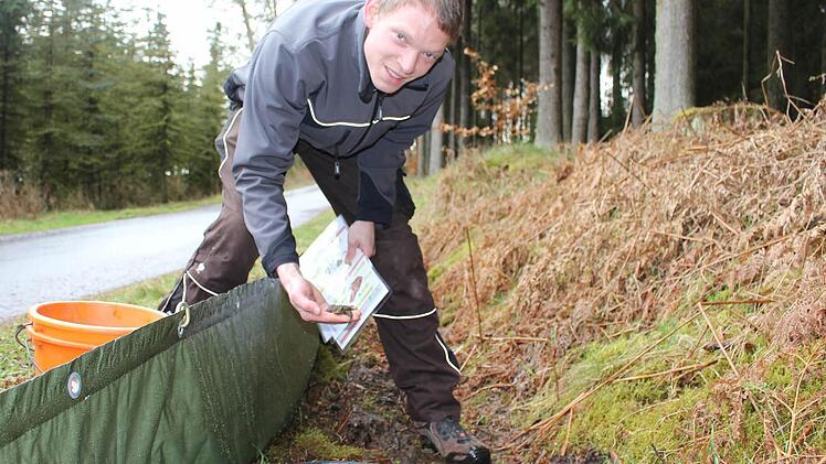 In diesem Eimer findet Johannes Welscher eine Erdkröte. Vorsichtig nimmt er sie aus dem schwarzen Eimer heraus und legt sie in den orangefarbigen Eimer. Wenn er alle eingesammelt hat, bringt er sie zu ihrem Teich. Fotos: Lisa Kieslinger