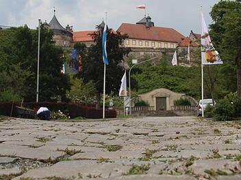 Die Festung sollte auch aus dem Kronacher Stadtgebiet mit dem öffentlichen Nahverkehr erreichbar sein, hieß es im Stadtrat. Gerne würde man dafür das Mobilitätskonzept des Kreises heranziehen. Foto: Archiv/Marco Meißner