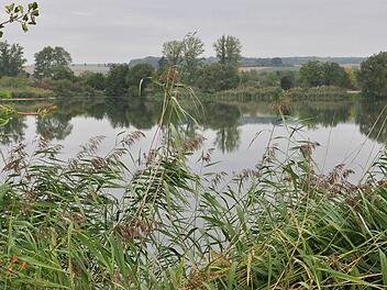 Der Horhäuser Baggersee ist einer der schönsten Badeseen im Landkreis. Doch obwohl die Gemeinden Theres und Wonfurt die Zufahrt mit vier Schranken abgeriegelt haben, fahren immer noch Badegäste und Camper mit ihren Fahrzeugen zum See. Dies wurde in der Bürgerversammlung in Untertheres bemängelt. Auch die seit Jahren untragbaren Zustände (Lärm, Unrat) am See ärgern die Thereser.  Foto: Ulrike Langer