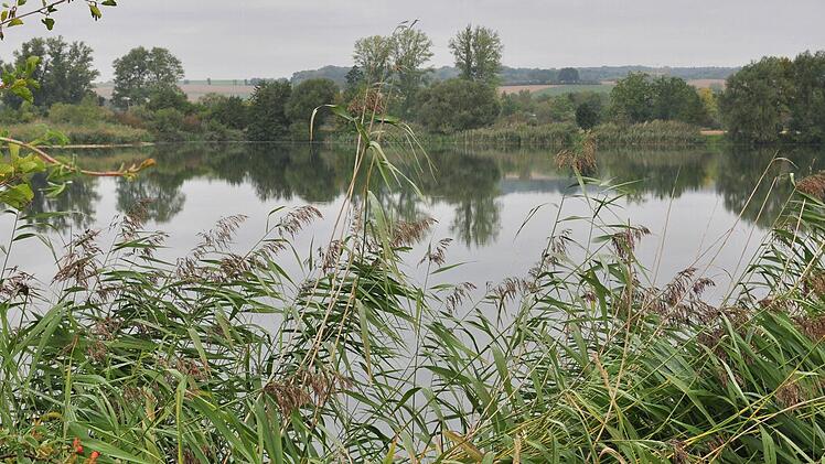 Der Horhäuser Baggersee ist einer der schönsten Badeseen im Landkreis. Doch obwohl die Gemeinden Theres und Wonfurt die Zufahrt mit vier Schranken abgeriegelt haben, fahren immer noch Badegäste und Camper mit ihren Fahrzeugen zum See. Dies wurde in der Bürgerversammlung in Untertheres bemängelt. Auch die seit Jahren untragbaren Zustände (Lärm, Unrat) am See ärgern die Thereser.  Foto: Ulrike Langer