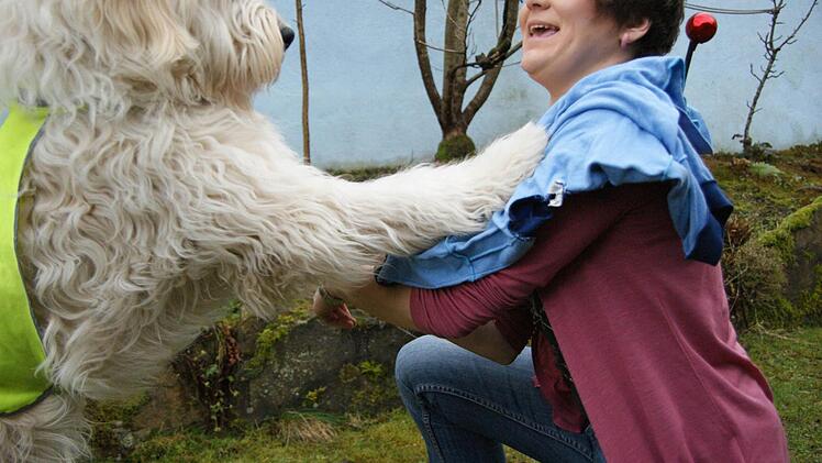 Marley beim Training