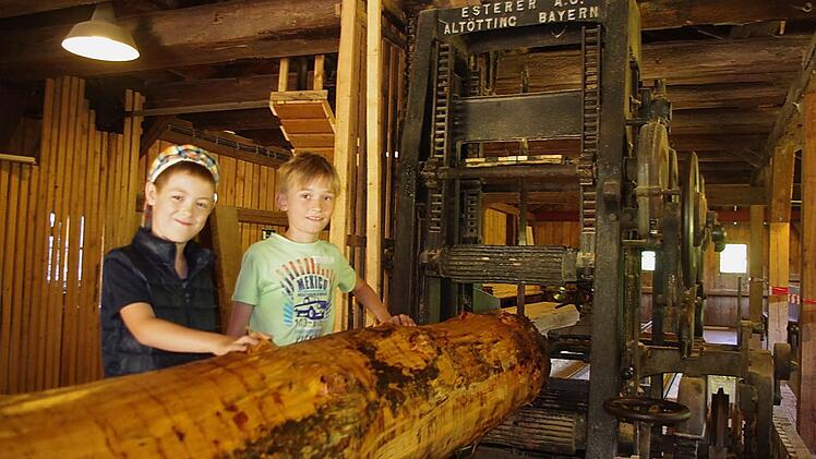 Leon (links) und Max vor einem der Baustämme Foto: Heike Schülein