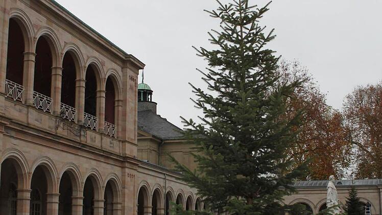 Die Weihnachtsbäume im Kurgarten stehen heuer in den Brunnenfassungen.