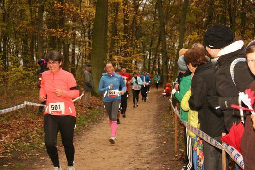Lebkuchenlauf der TG Kitzingen